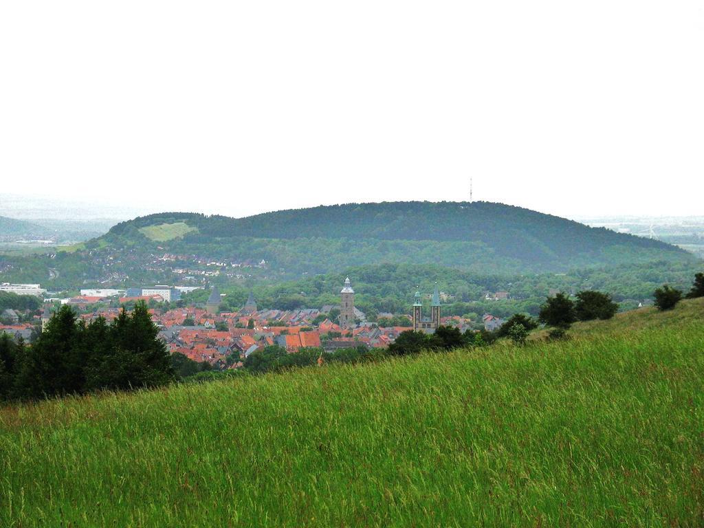 Haus-Wolter Daire Goslar Dış mekan fotoğraf
