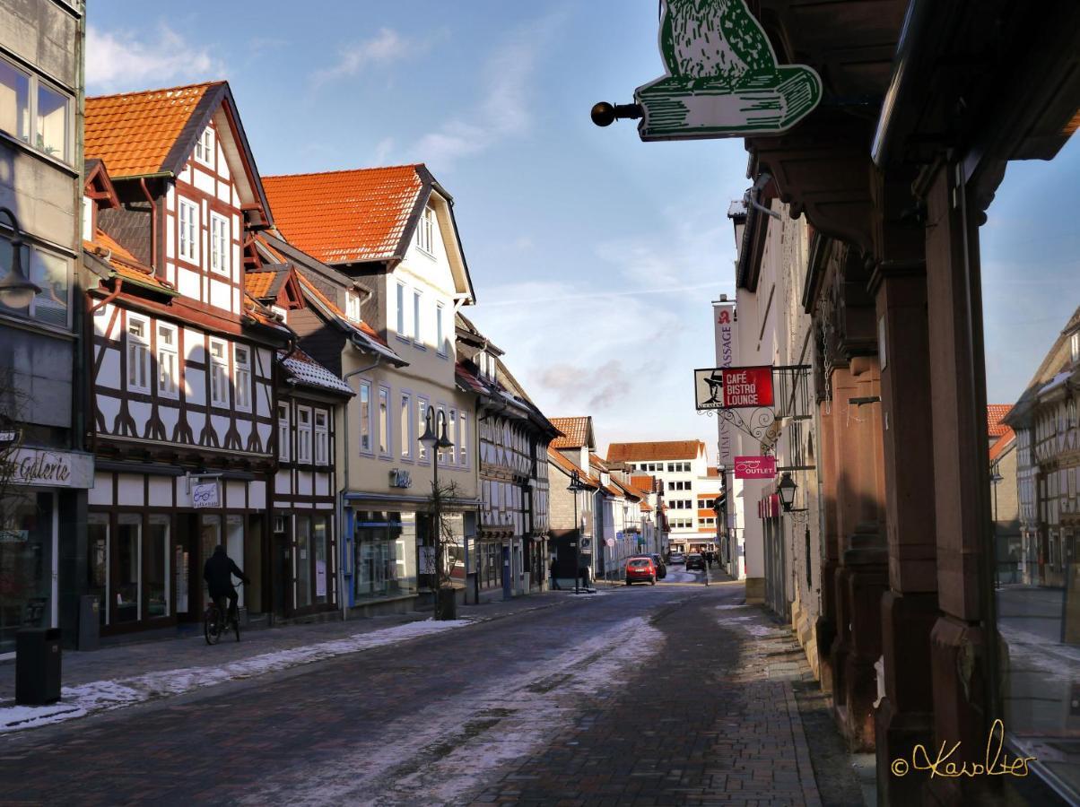 Haus-Wolter Daire Goslar Dış mekan fotoğraf